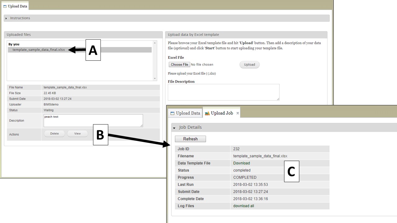 Job Log Template